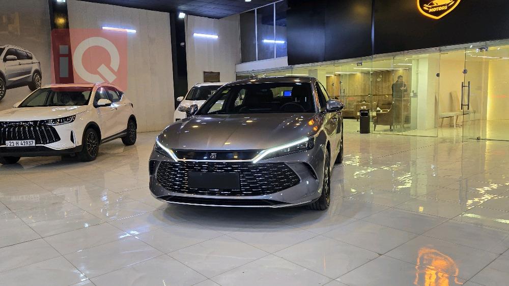 بي واي دي كوين L DM-i